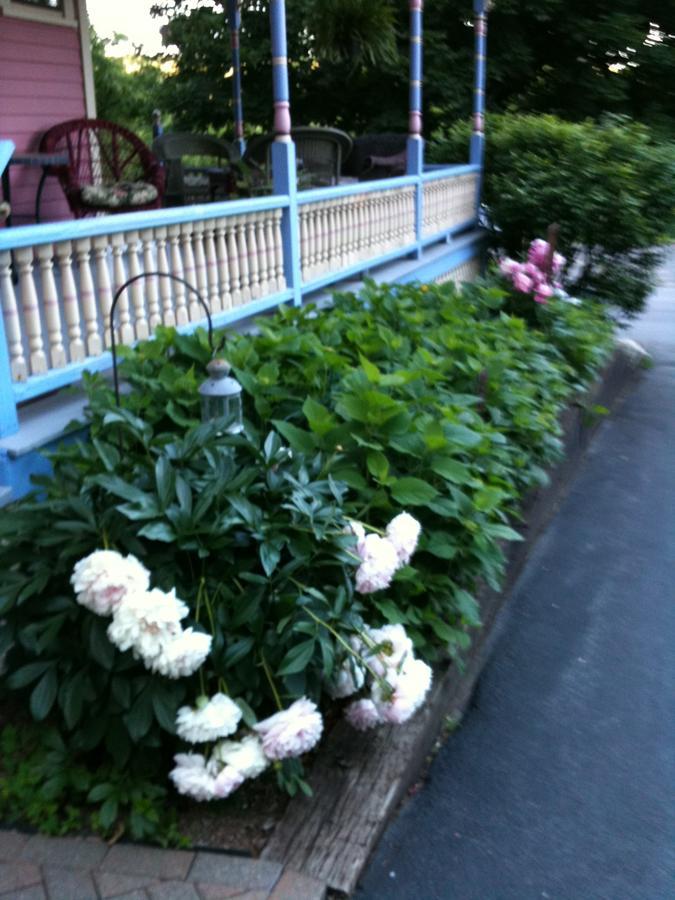 Rose & Thistle Bed & Breakfast Cooperstown Exterior foto